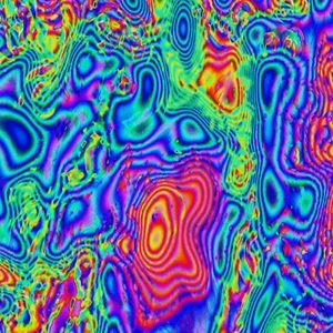 Meet your Posher, Sierra